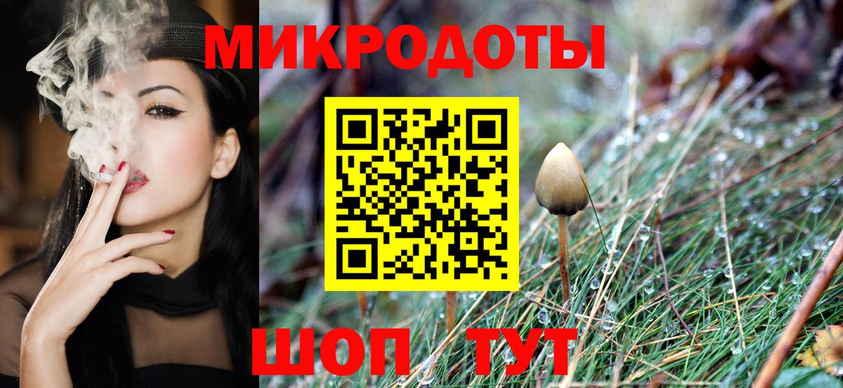 Галлюциногенные грибы Psilocybe Лыткарино
